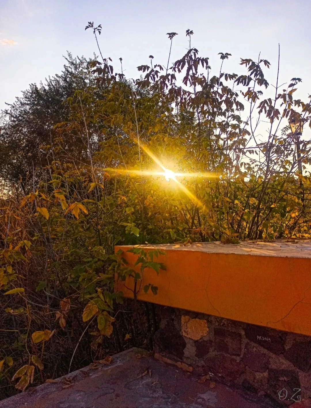 Осенний плейлист в кадре. 🍂🍁🍂