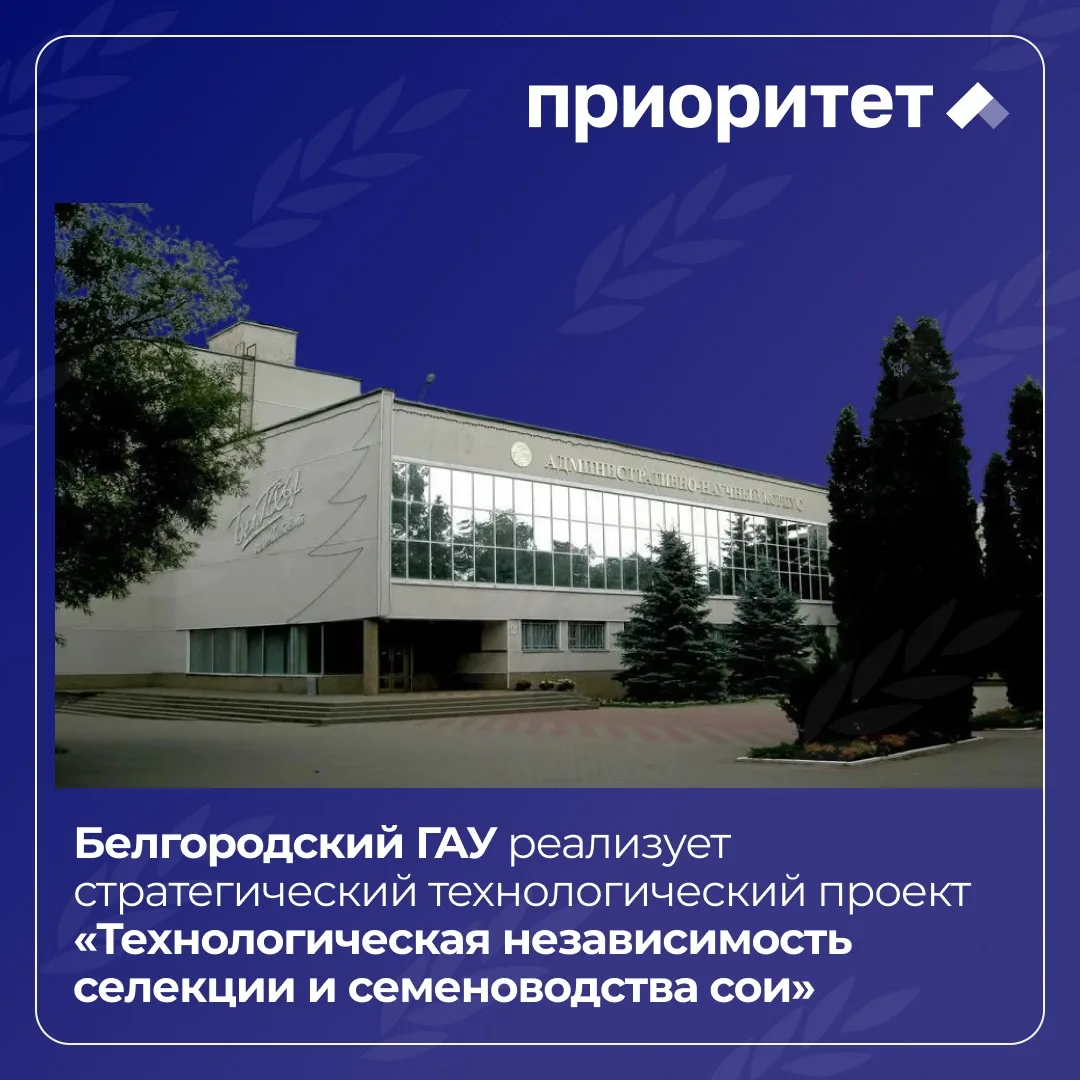🏫 Белгородский ГАУ развивает селекцию и семеноводство сои в рамках «Приоритет-2030»
