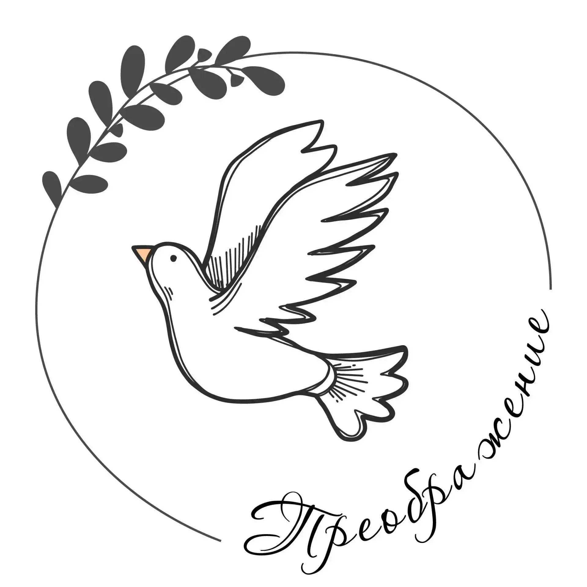 🕊️Православная смена «Преображение». День 6: Таинство Крещения и традиции православного рукоделия
Ш