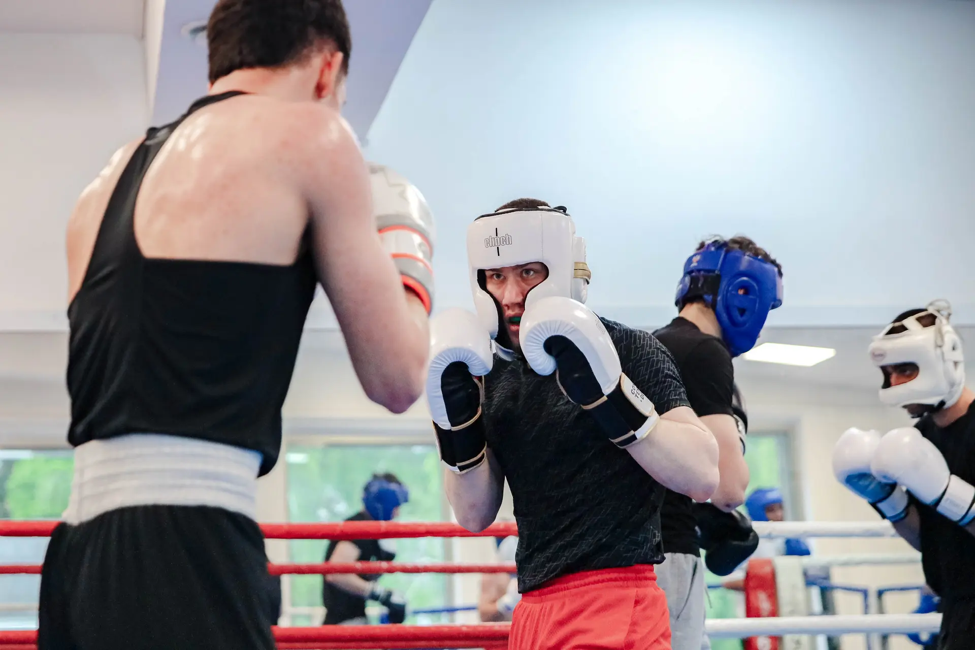 Сборная СтГАУ по боксу 🥊🏆  В составе студенческого спортивного клуба «Колос» действует мощная сборна
