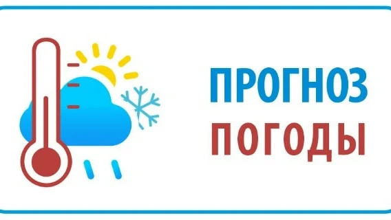 Прогноз погоды на завтра.