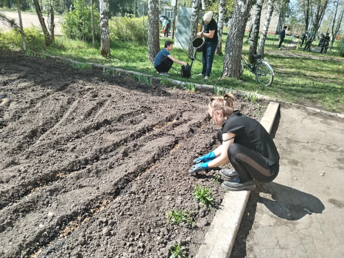 В школе прошёл субботник по облагораживанию клумб и высаживанию цветов. Коллективом работников и обу