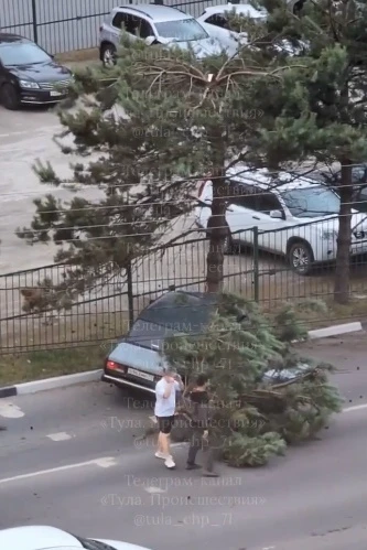 Напротив дома Вильямса, 26. Водитель Ваза с такой силой въехал в дерево вдоль бульвара,...