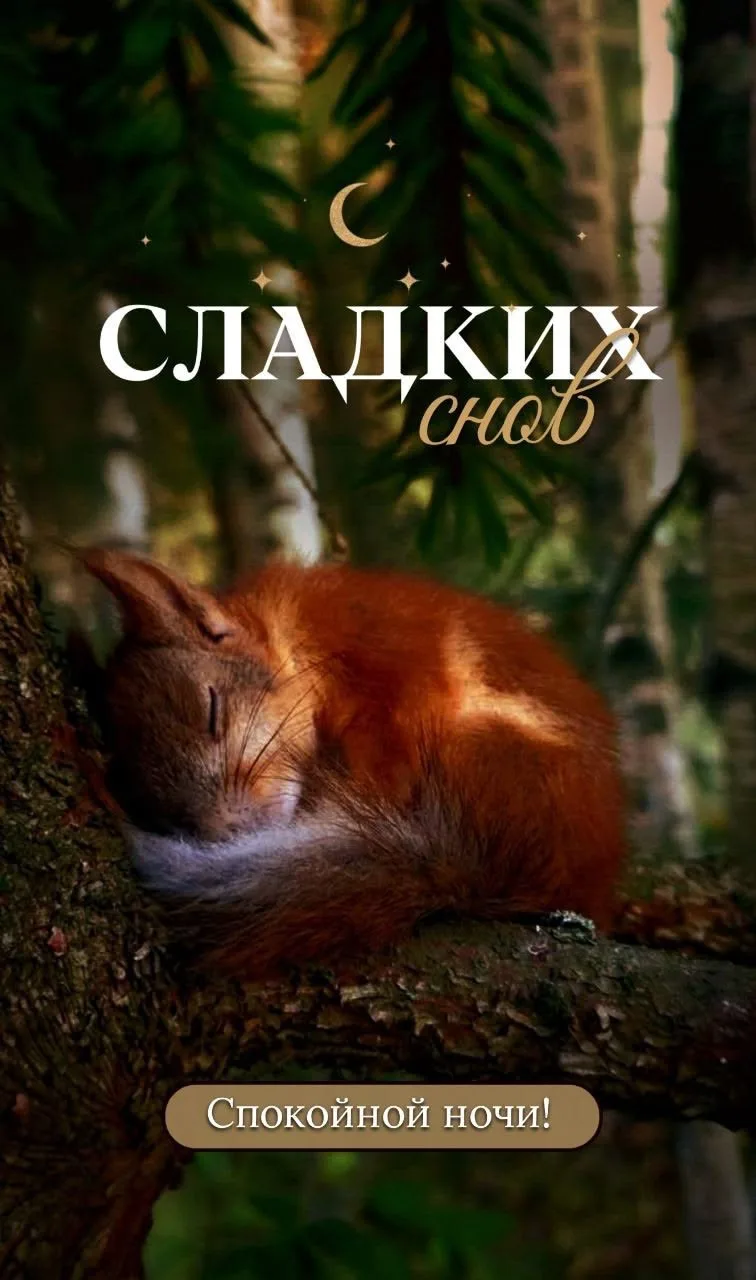 Красивые открытки❤️