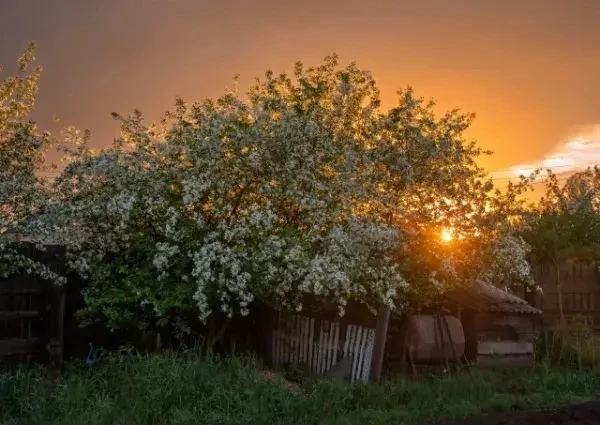 Июньский закат🌿 🌅 

📸: Павел Крутенко