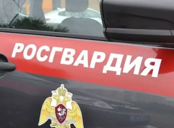 В Петербурге росгвардейцы задержали похитителей мягких игрушек. Подробности публиковали...