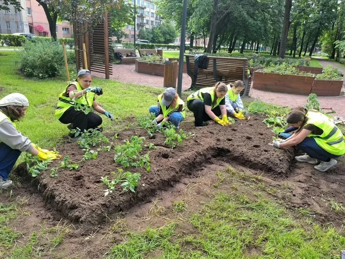 Вместе с дружной командой трудового отряда сотрудники СПП «Выборгское» устроили день посадок и разби