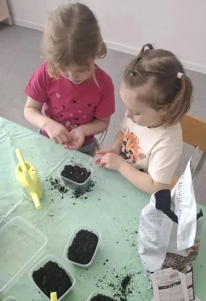 🌿 День экологического образования в нашем детском саду! 🌿