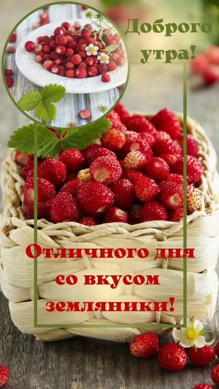 Доброе утро, друзья! Сегодня 10 июля - пятница.☀️

Ребята группы «Лунтики» отмечают День земляники —