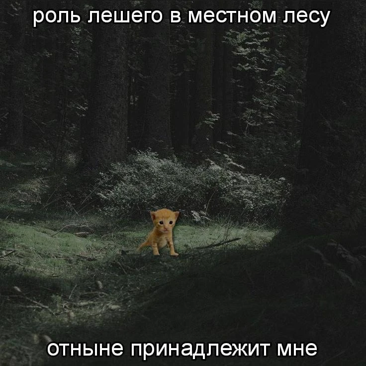 Это я