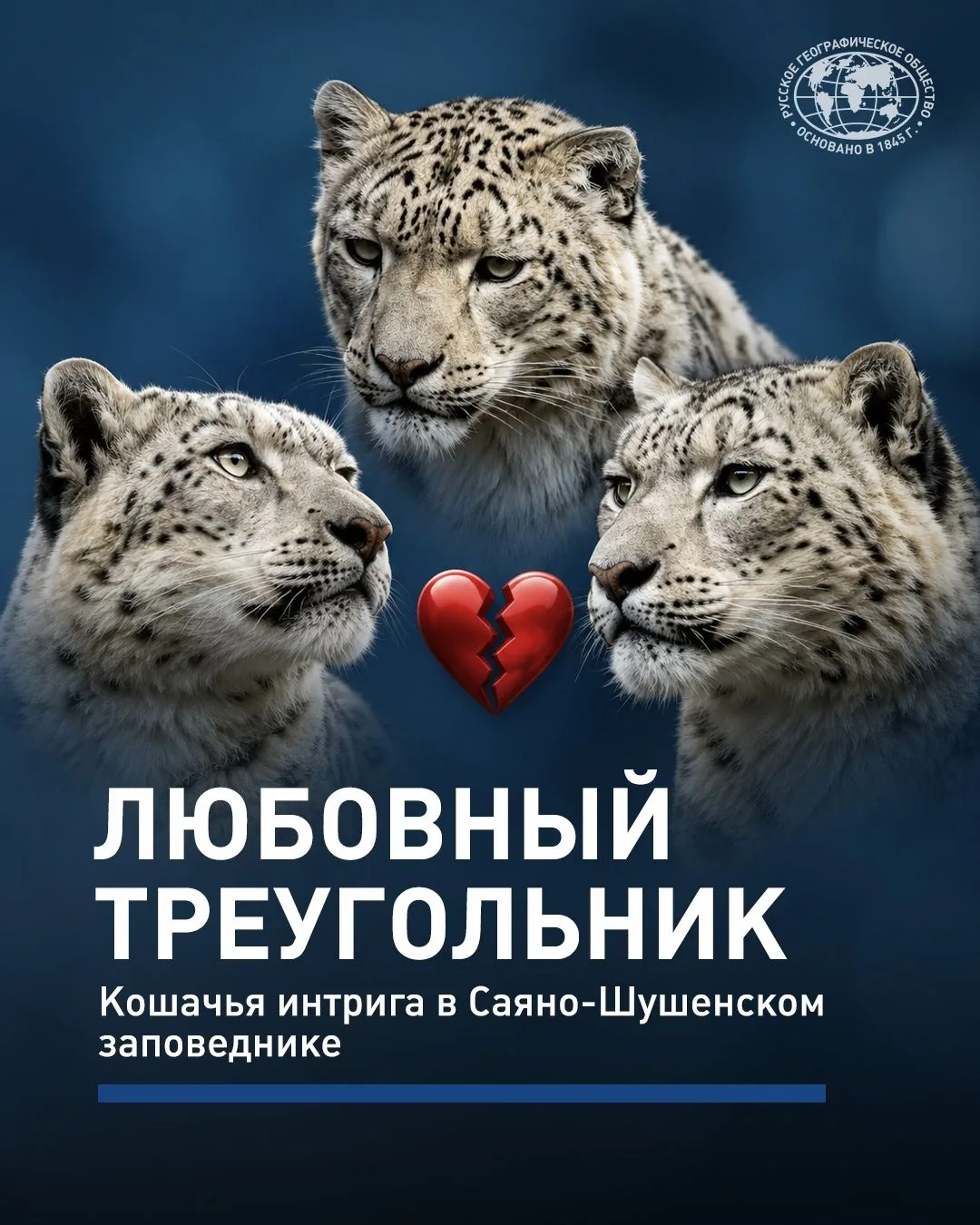 💔В Саяно-Шушенском заповеднике — любовный треугольник

В заповеднике разгорелись нешуточные страсти