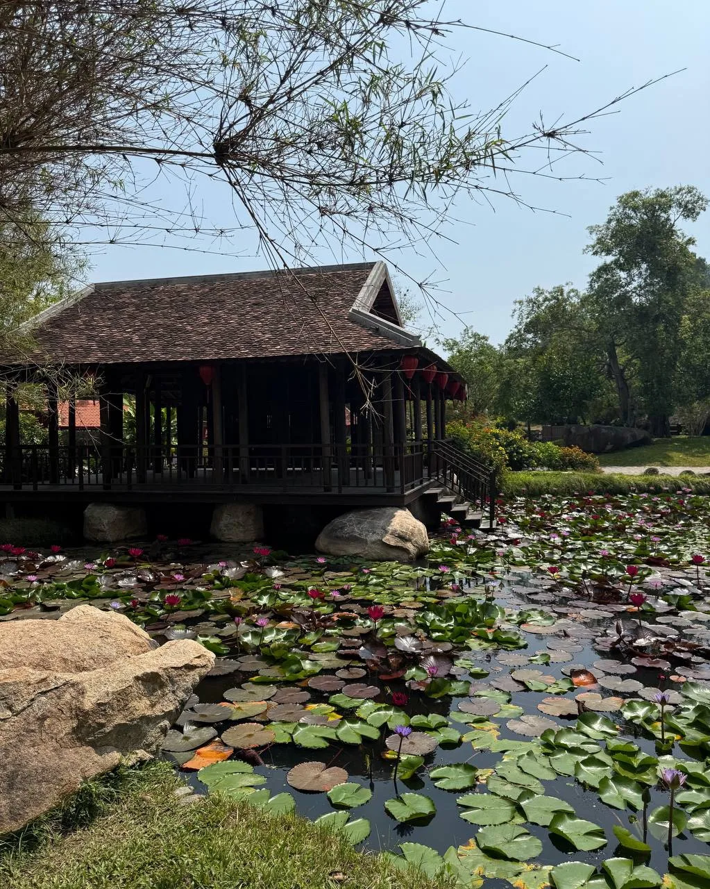 Нячанг + Ханой: море, тропики и атмосфера настоящего Вьетнама 🌴