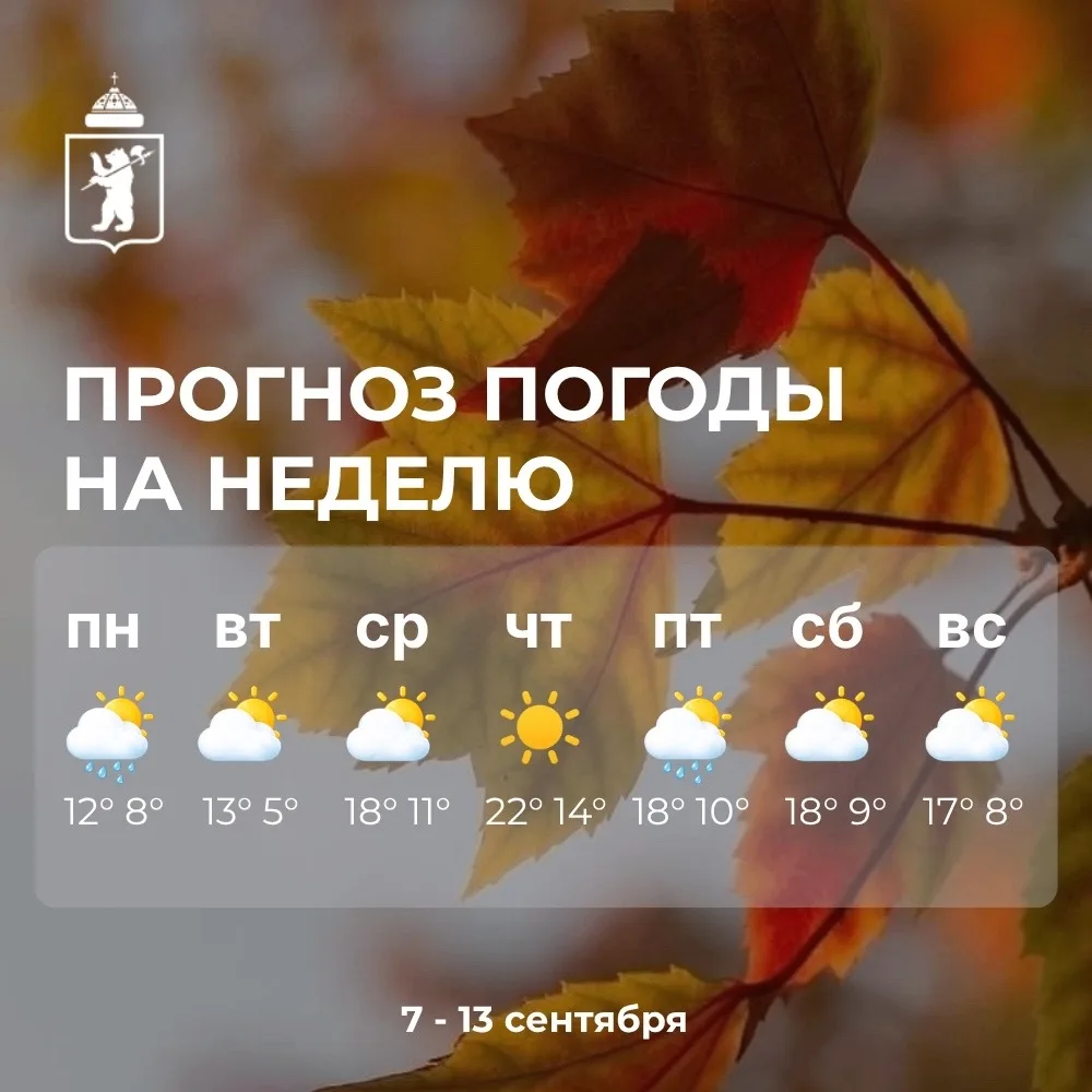 🍁 Доброе утро, жители района!
