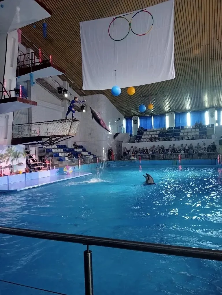🐬 Сегодня (16 мая) ученики 2к и 3а классов совершили незабываемое путешествие в мир морских чудес!�