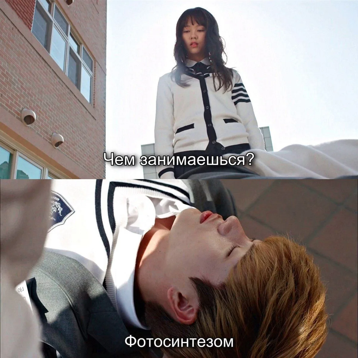 Он листочки?)
🎬 Дорама #Школа_2015