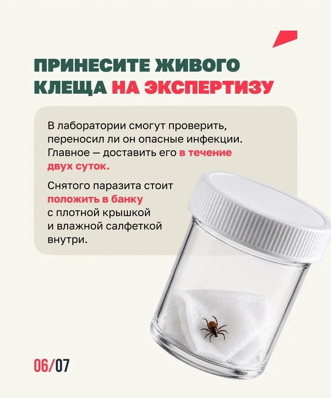 Клещи ближе, чем ты думаешь🕷️  Они обитают не только в лесу, но и на дачах, в парках и вдоль тропино