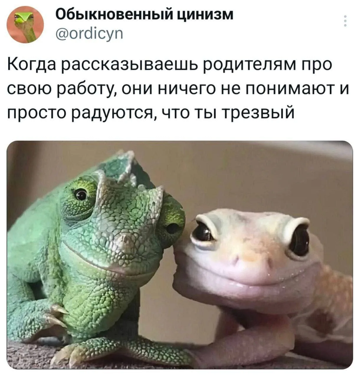 Лучше уж пусть так, чем каждой тете Сраке в селе чинить компьютер, потому что родители ...