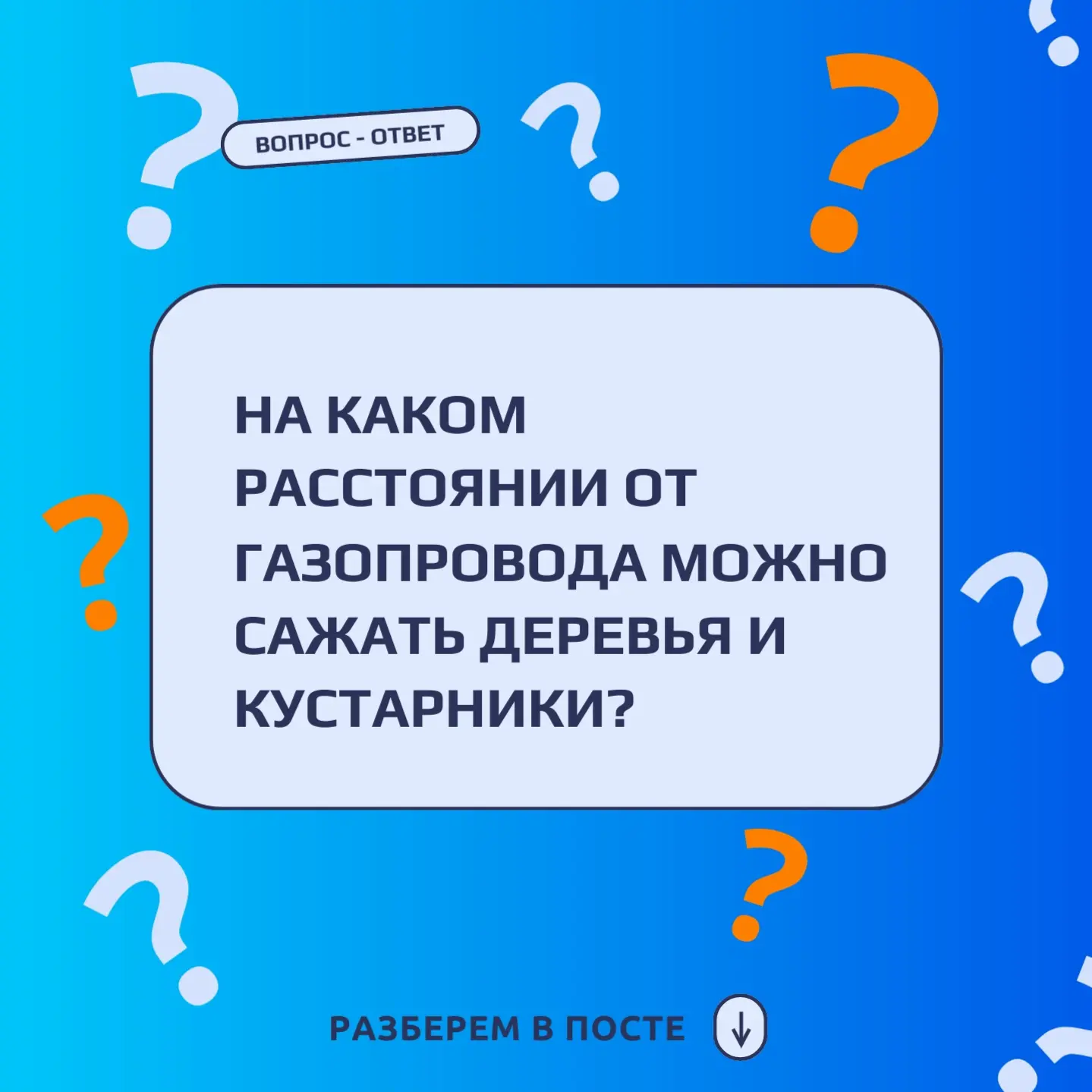 Вопрос: «На каком расстоянии от газопровода можно сажать деревья и кустарники?»