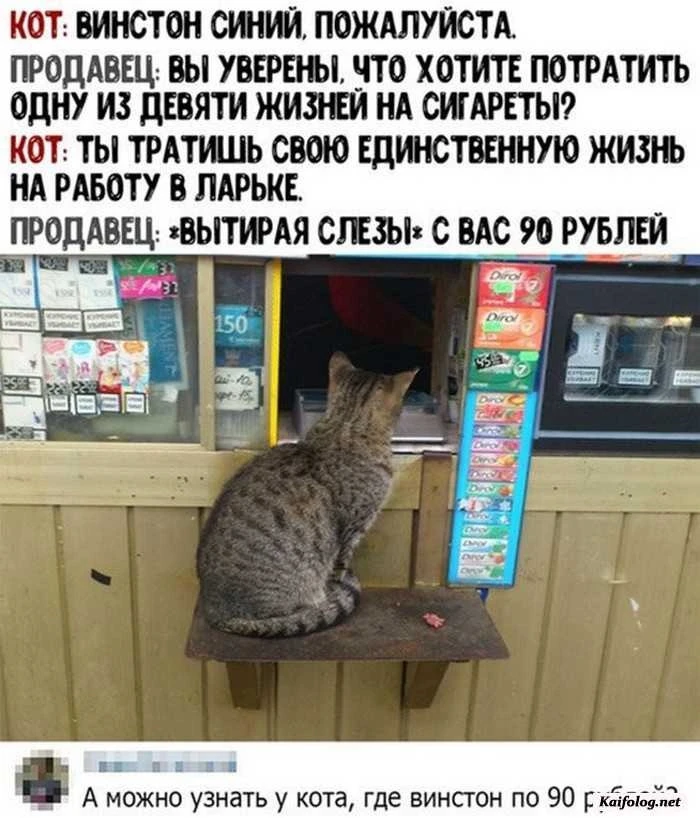 Шерлок смеется. Подписаться✅