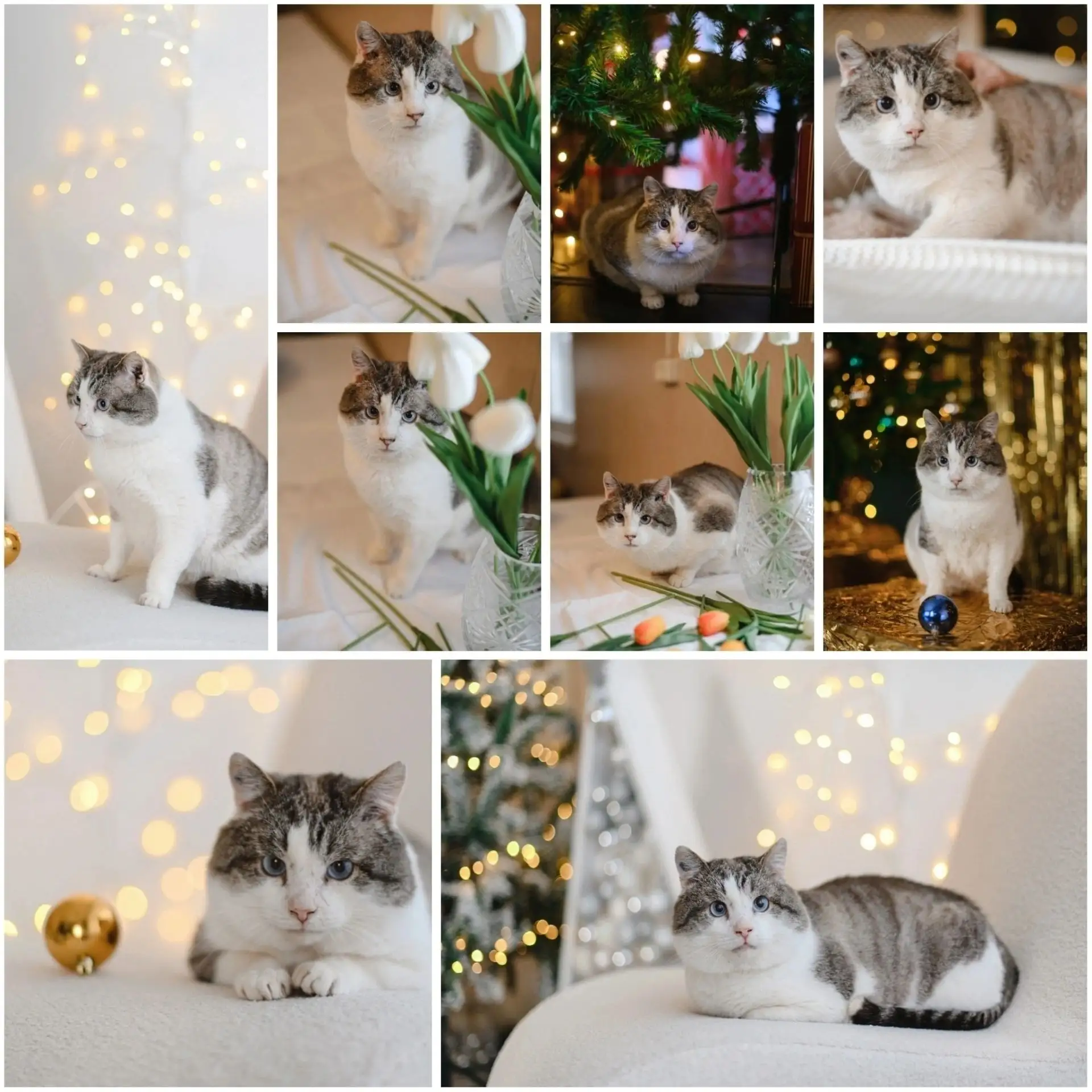 vk.com/album51035725_303999482