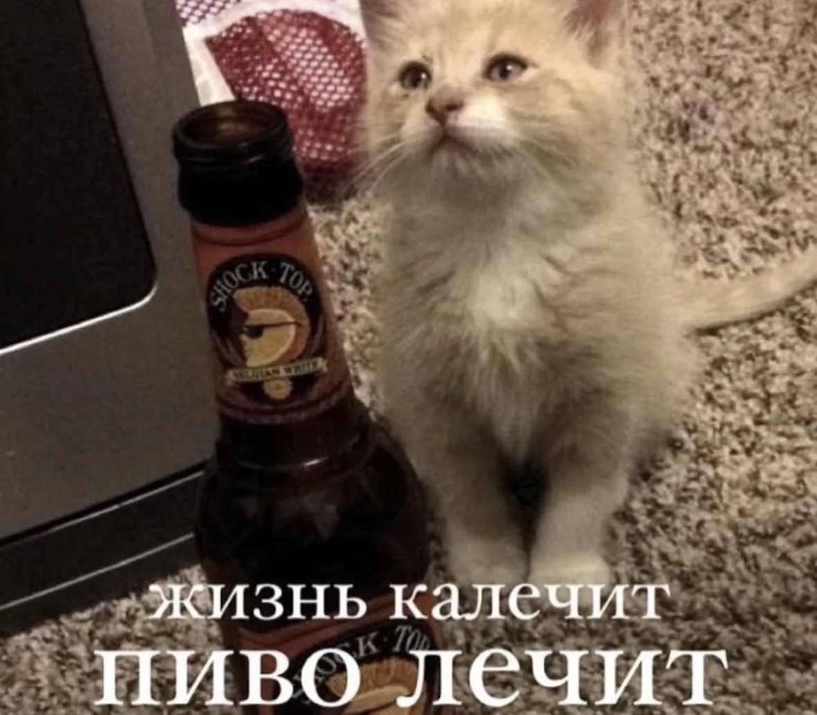 В Северной Корее жителям по телевизору советуют пить литр 🍺пива в день, чтобы справлят...