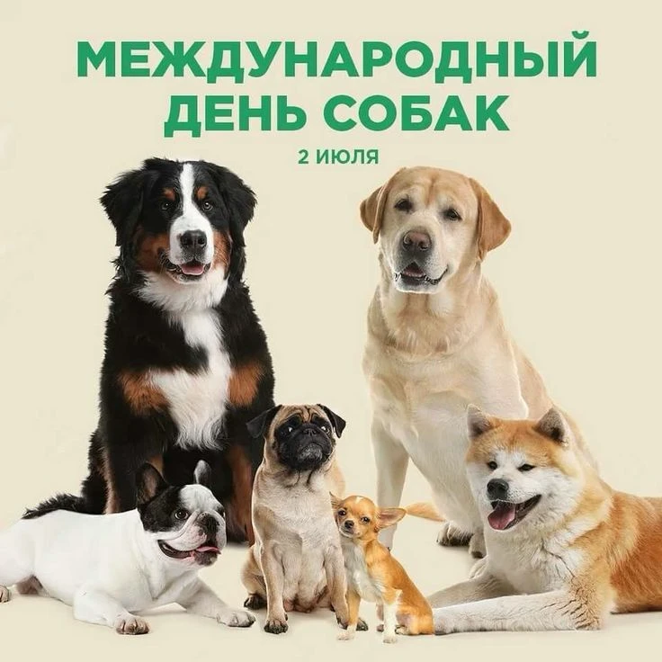 🐶🐾 2 июля – Всемирный день собак! 🐾🐶