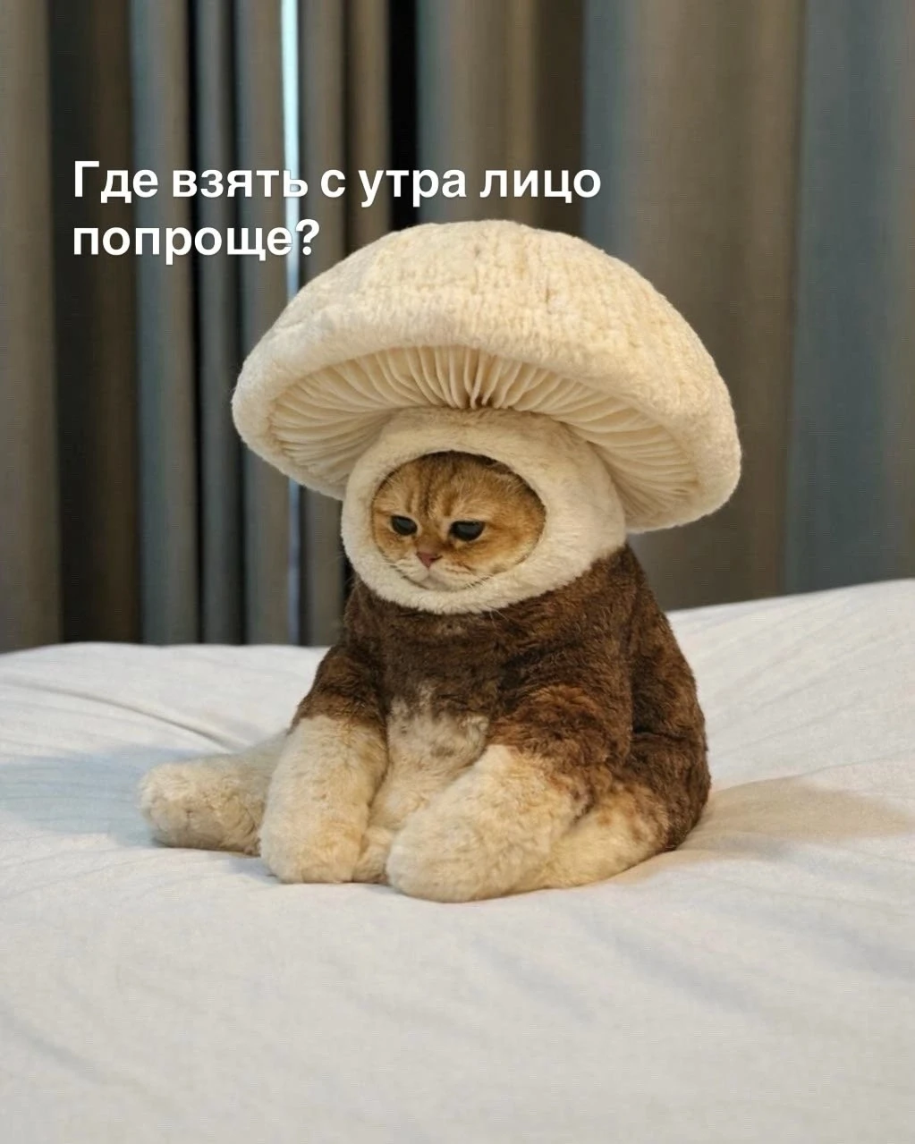 Наш телеграм: https://t.me/votetoprikol90