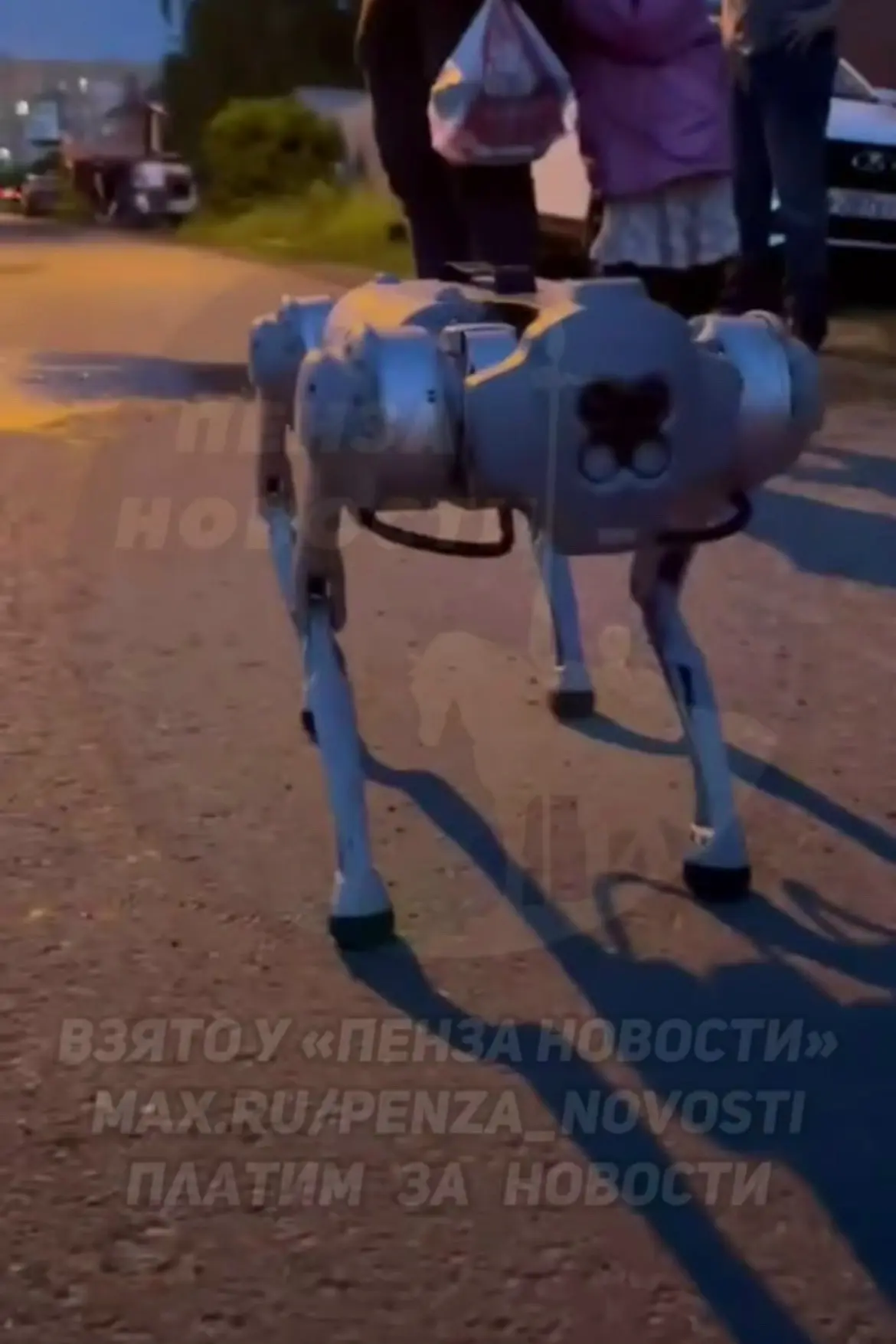 Необычного питомца на вечерней прогулке встретили на ул. Димитрова на Шуисте 😄

📍 Пенза
👉 Подписа