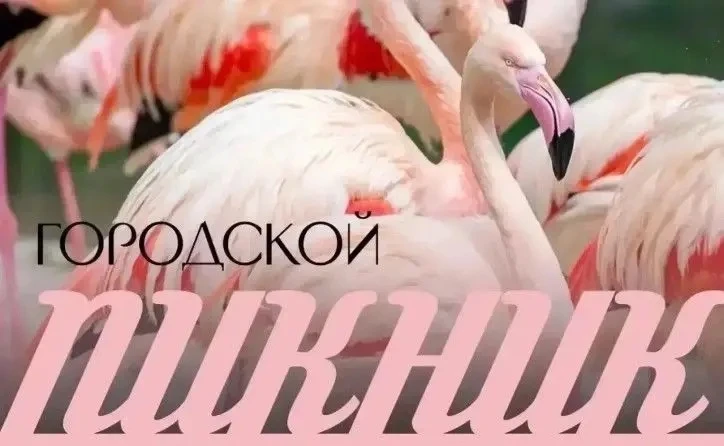 Ростовский зоопарк 16 августа организует «Городской пикник»👌