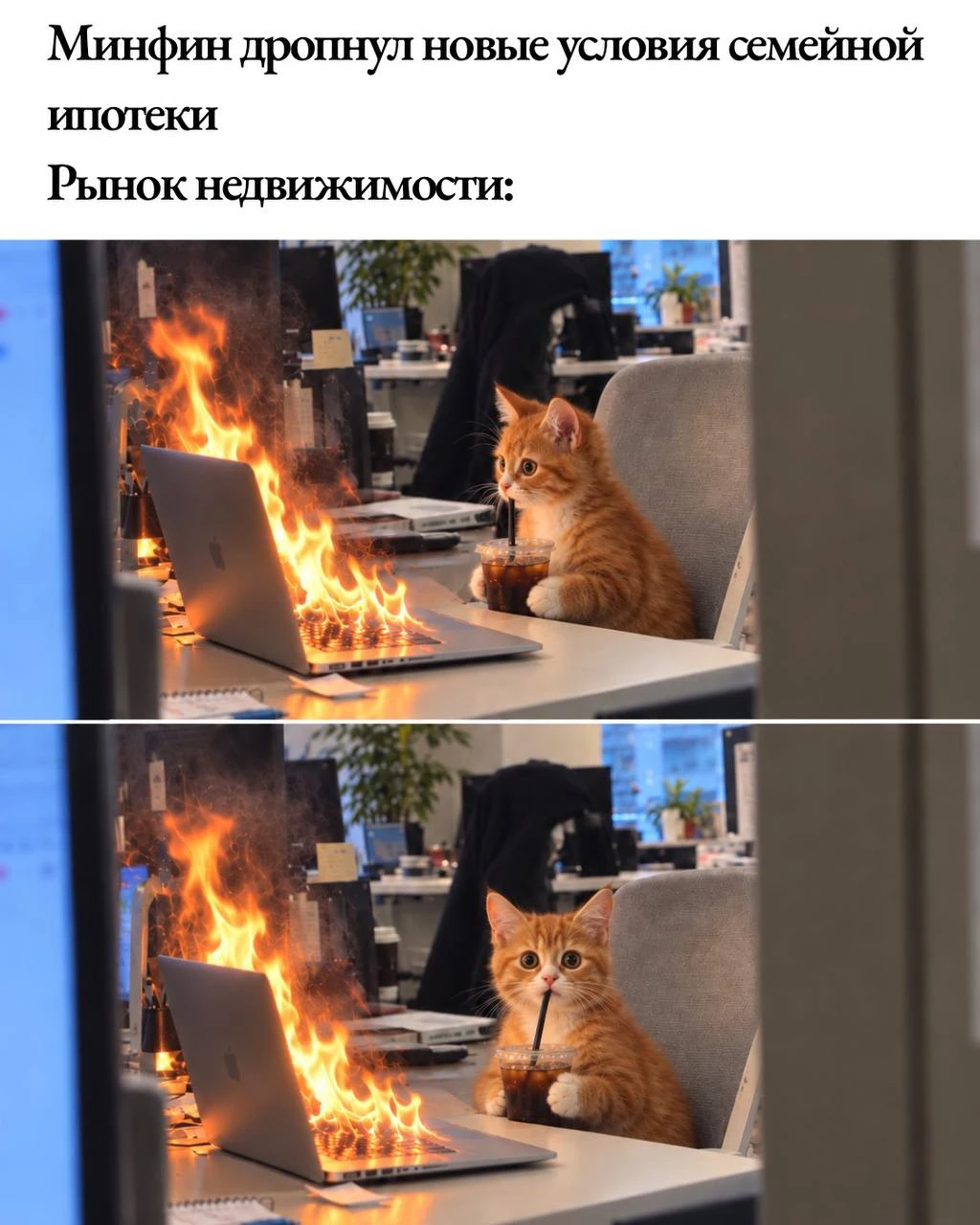 #семейнаяипотека #юмор