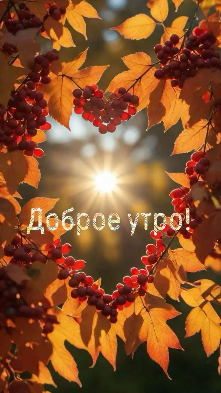 Доброе утро, дорогие подписчики!