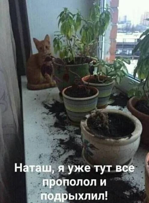 🎃 Весело у нас 🧨
