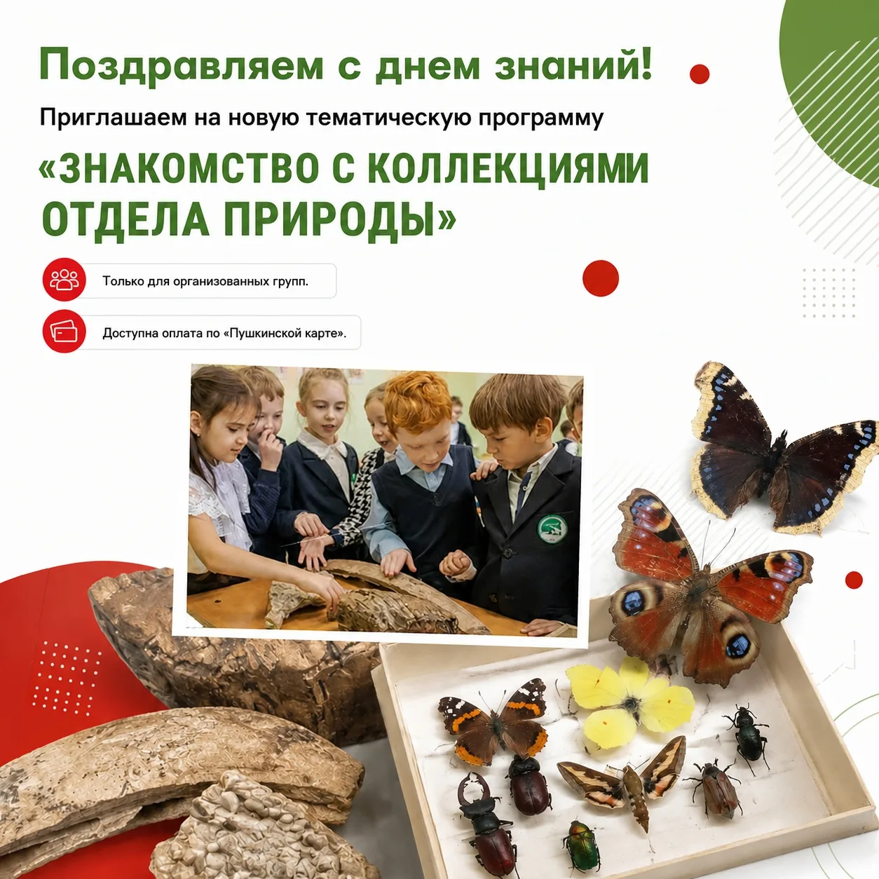 📚✨ С Днем знаний! Тайны природы ждут вас в музее! Поздравляем всех школьников, родител...