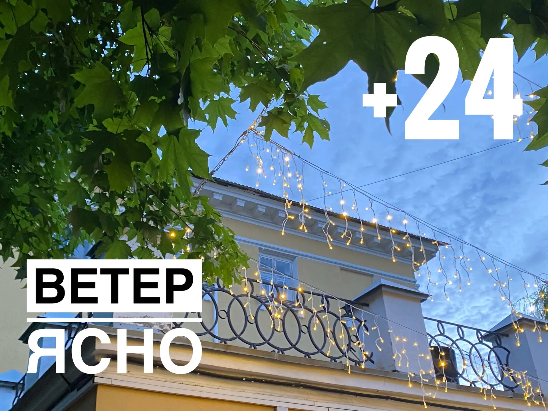 😎 Жара подсбавит обороты в Оренбурге, сегодня будет до +24°С  🌿А вот погода обещает быть преимуществ