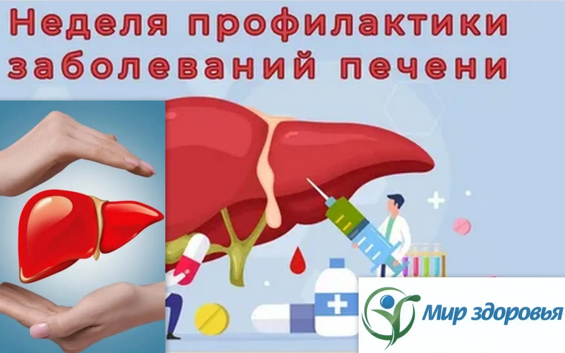 НАША БЕСЦЕННАЯ ПЕЧЕНЬ.