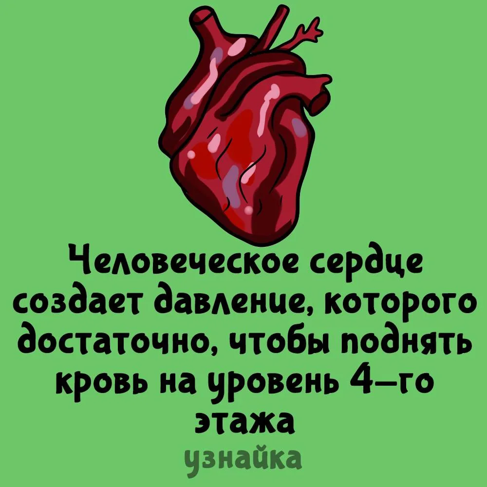 Мощщщщь💪