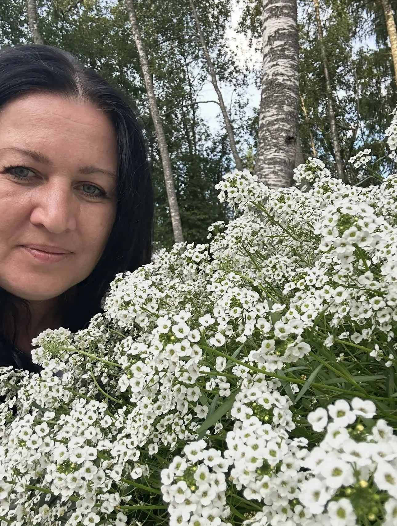 Алиссум Сноу Принцесс - вегетативный сорт, который поражает не только своей красотой, н...