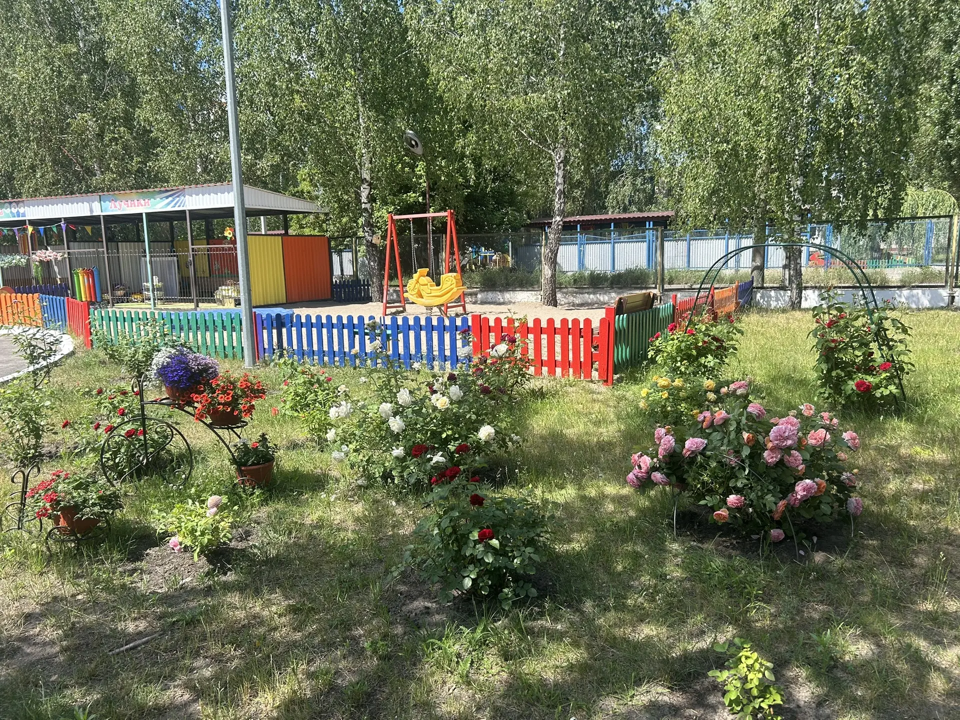 🎉 С первым днём второго летнего месяца! ☀️

А мы хотим показать вам, какие красивые наши клумбы в д