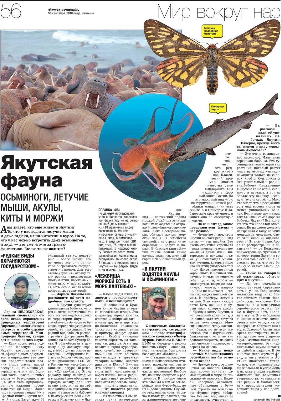 #архивЯВ