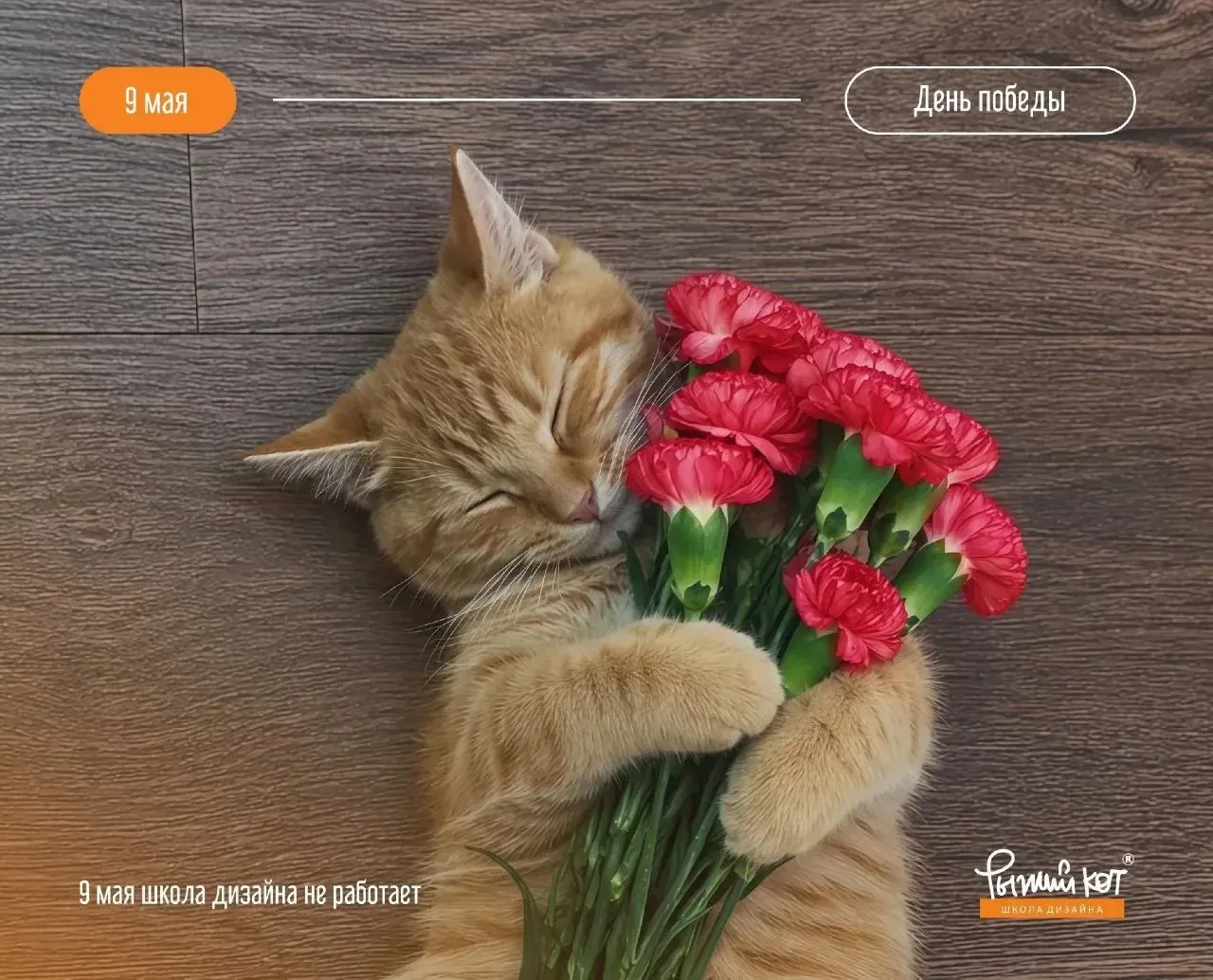 🕊 9 мая — день, который остаётся важным для каждой семьи.