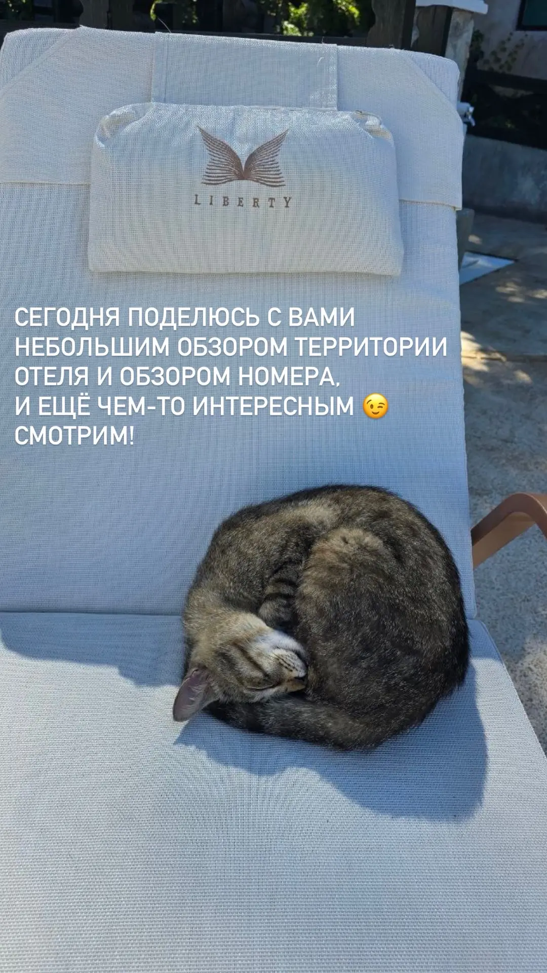 Последнее видео — вечерний вайб на закате 🥰