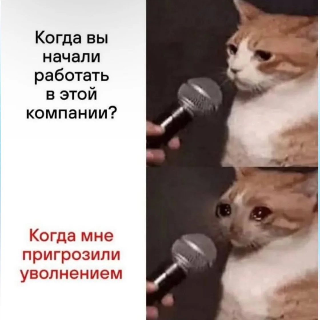доброе утро, мои золотые 😅было? было!