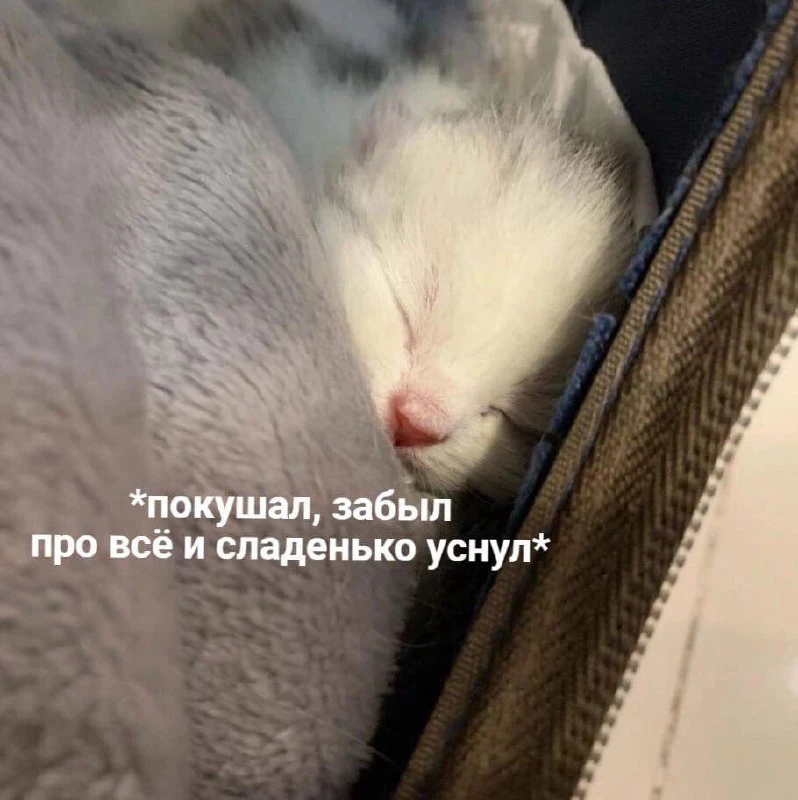 Всем ночь!)