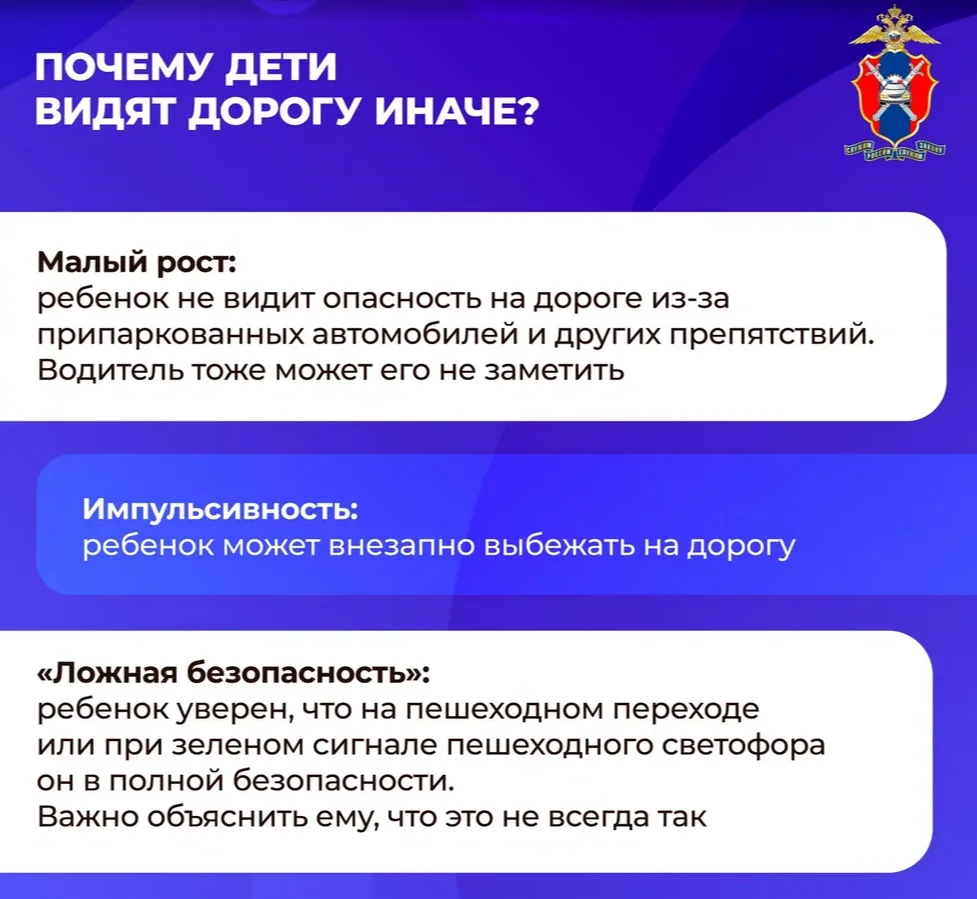 Безопасность ребёнка на дороге — это комплексная задача, которая требует совместных усилий родителей