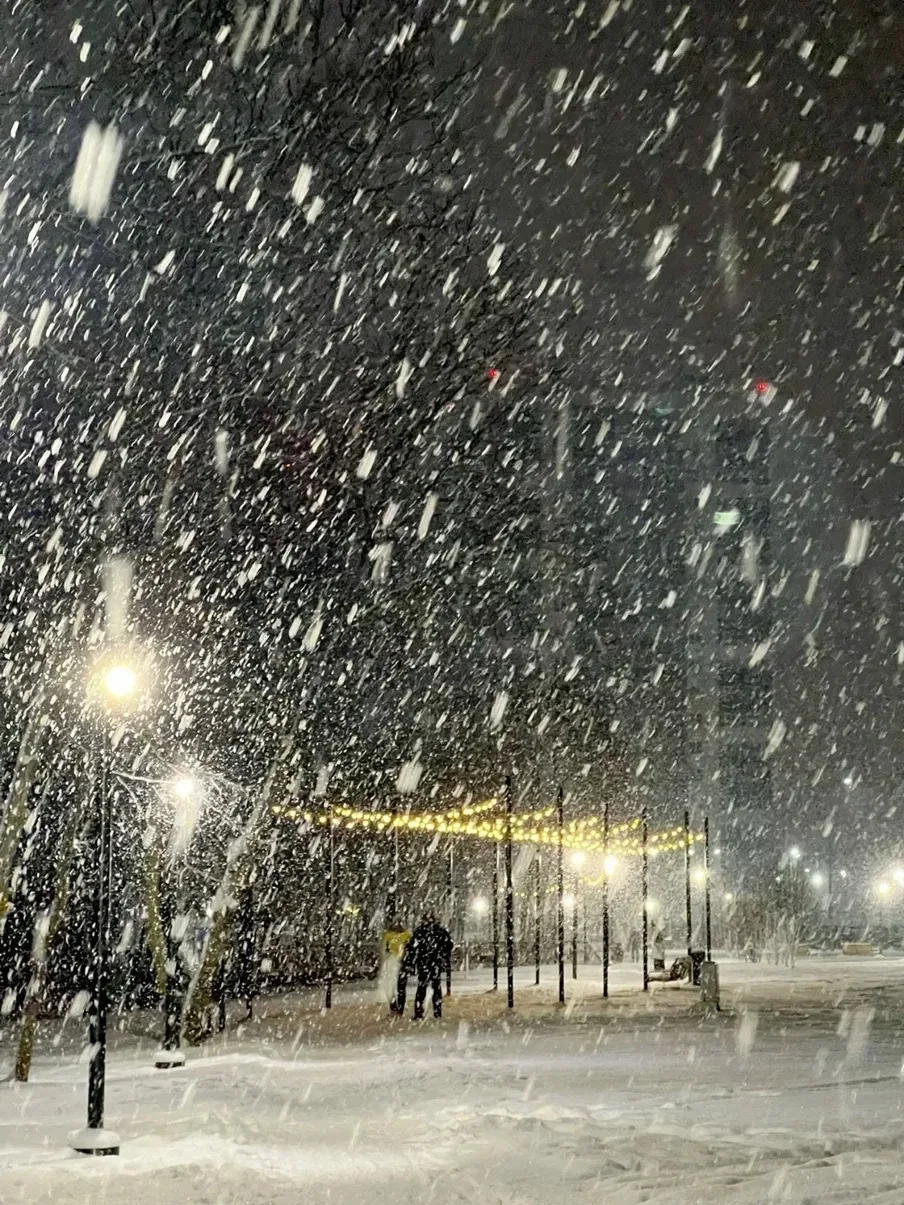 ❄️❄️❄️На юг Тюменской области идет зима: с 4 по 6 октября дожди сменятся снегом и голол...
