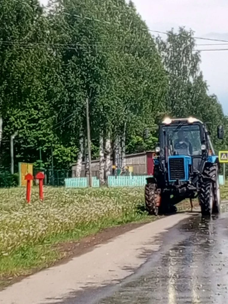 На территории Большесодомовского территориального отдела проводятся работы по покосу тр...