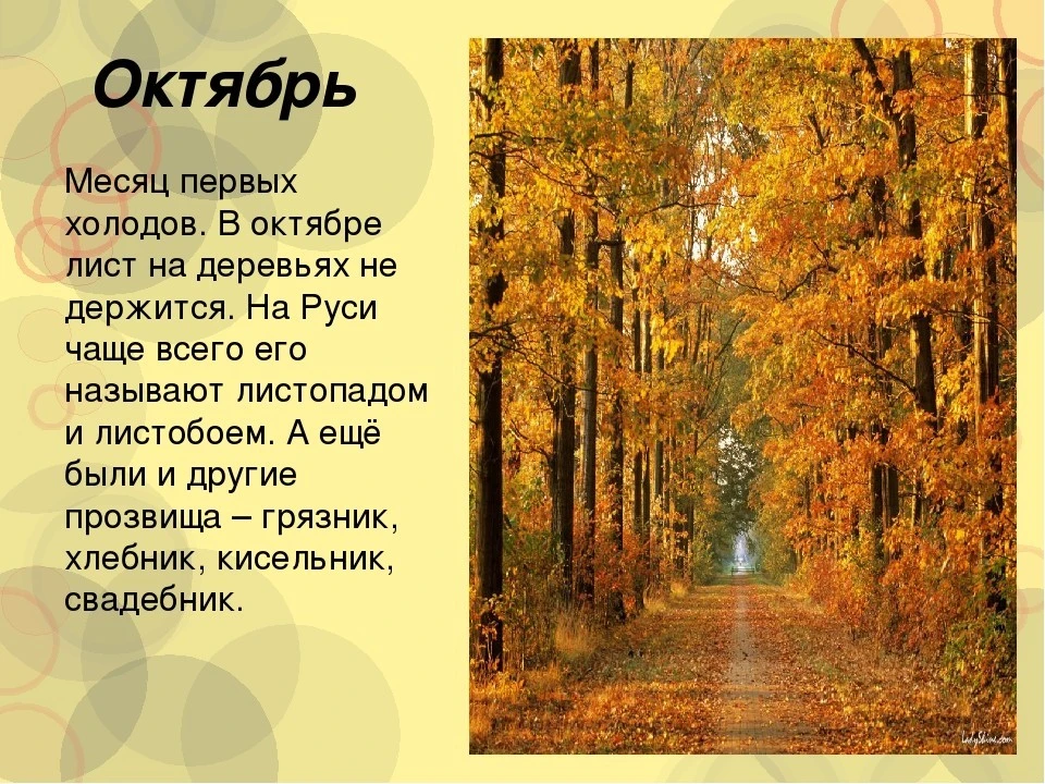 На Руси у октября было сразу несколько народных названий — и каждое подмечало какую-то ...