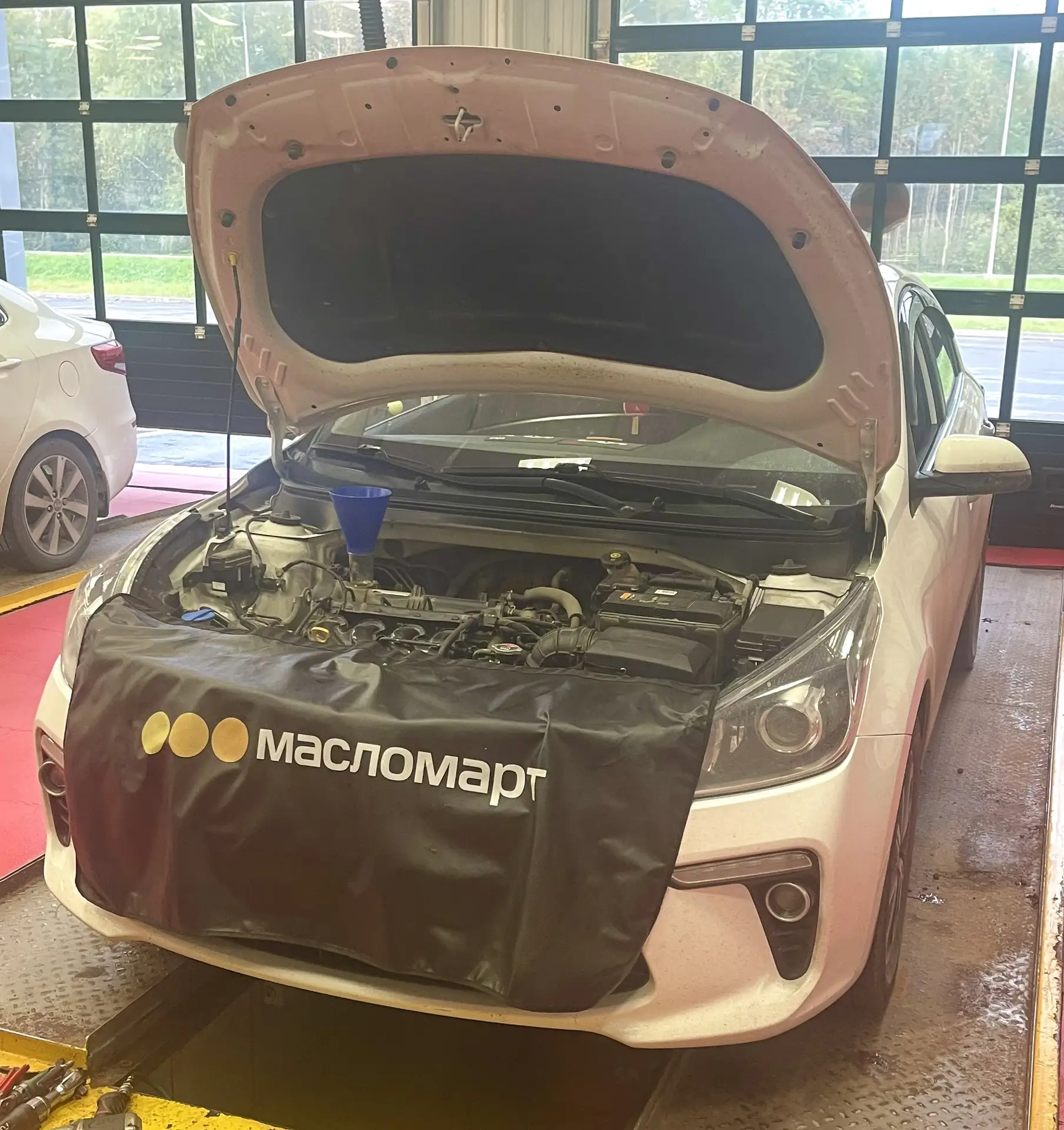 🚗🚘 Подготовка можно сказать к зиме, по поводу замен жидкостей и фильтров 👨‍🔧🔧
