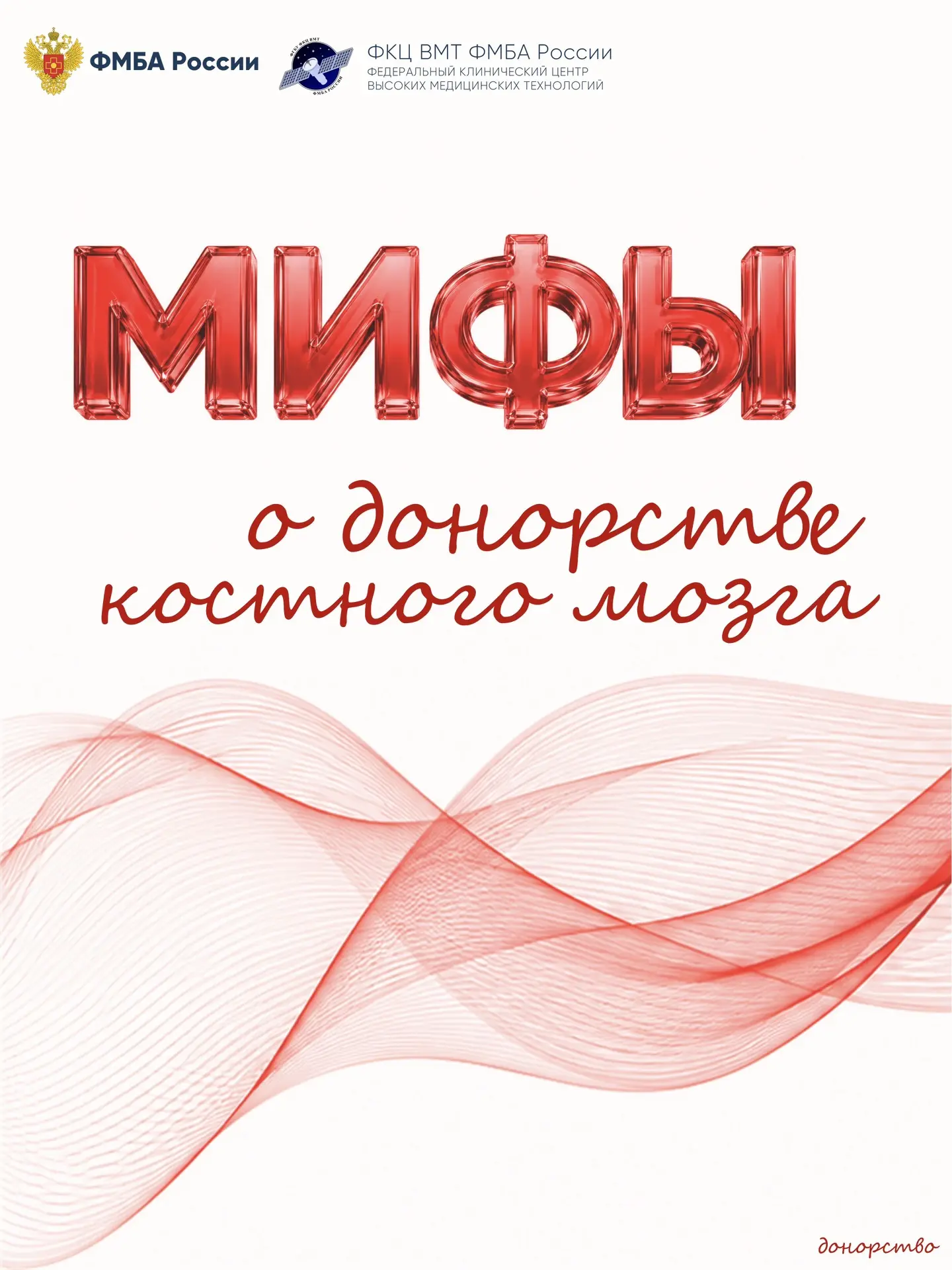 🩸 Донорство костного мозга — это не страшно. Разбираем главные мифы