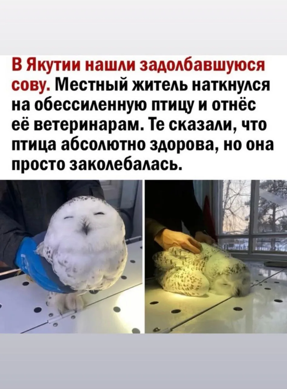 Я сегодня стооооолько рабочих важных, нужных дел переделала с 8 утра, что в принципе я ...